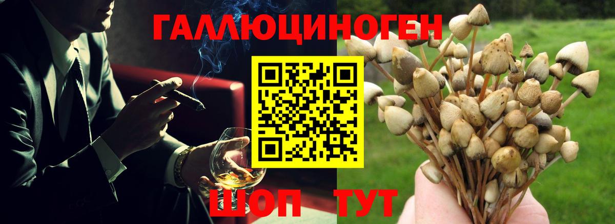 Галлюциногенные грибы мухоморы  Псилоцибиновые грибы GOLDEN TEACHER  Белово  Вход с VPN 